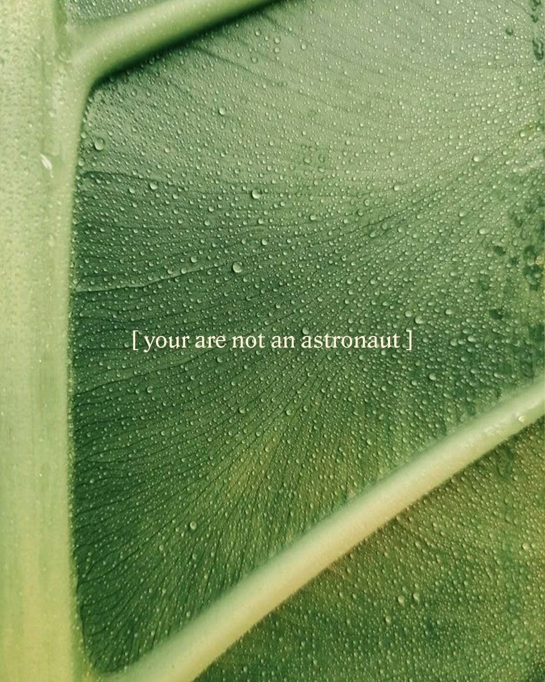 You Are Not An Astraunaut