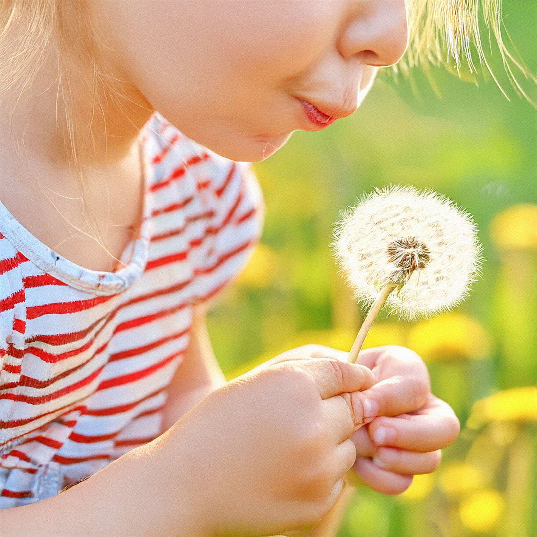 Ale: A Family Sparkling Story