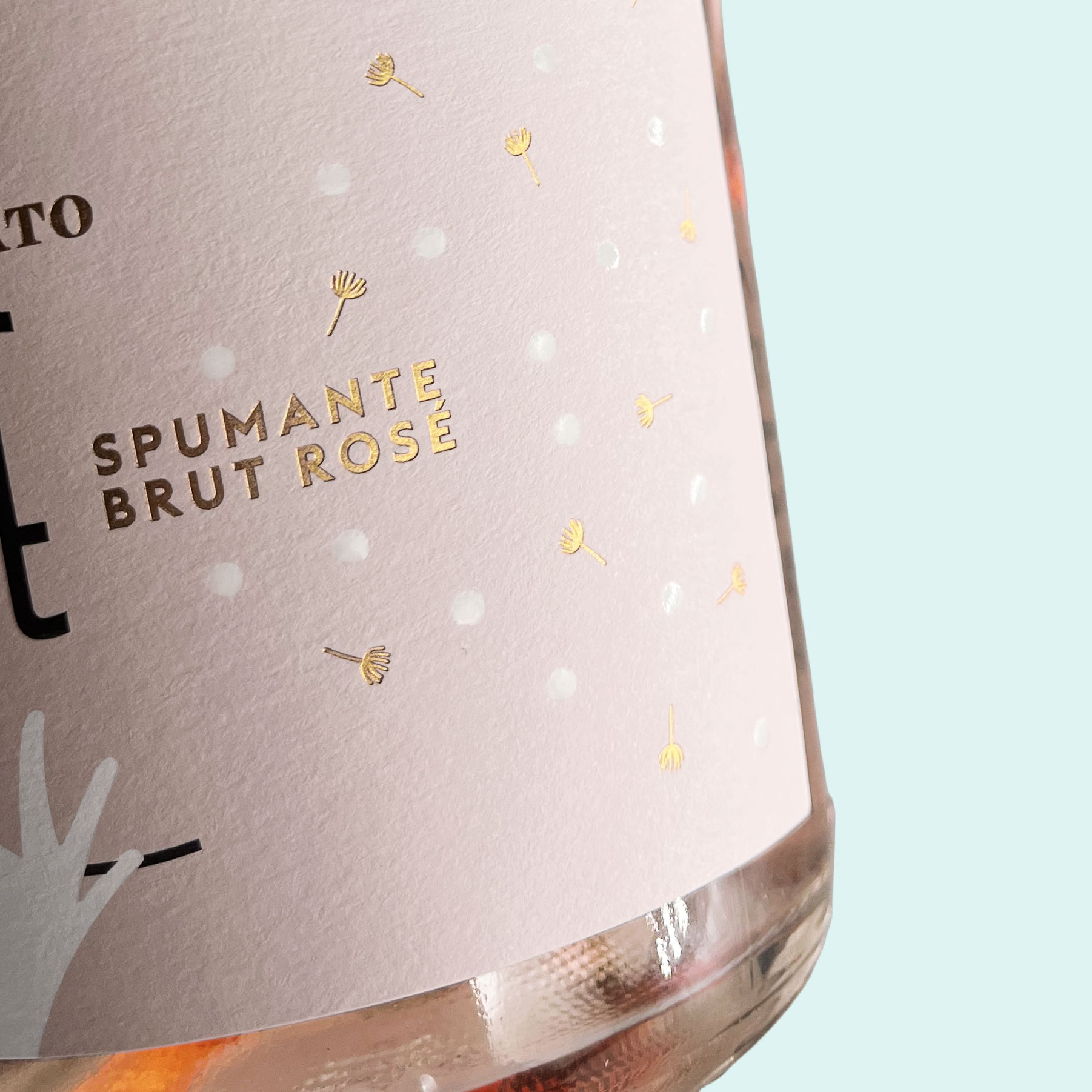 Ale: A Family Sparkling Story