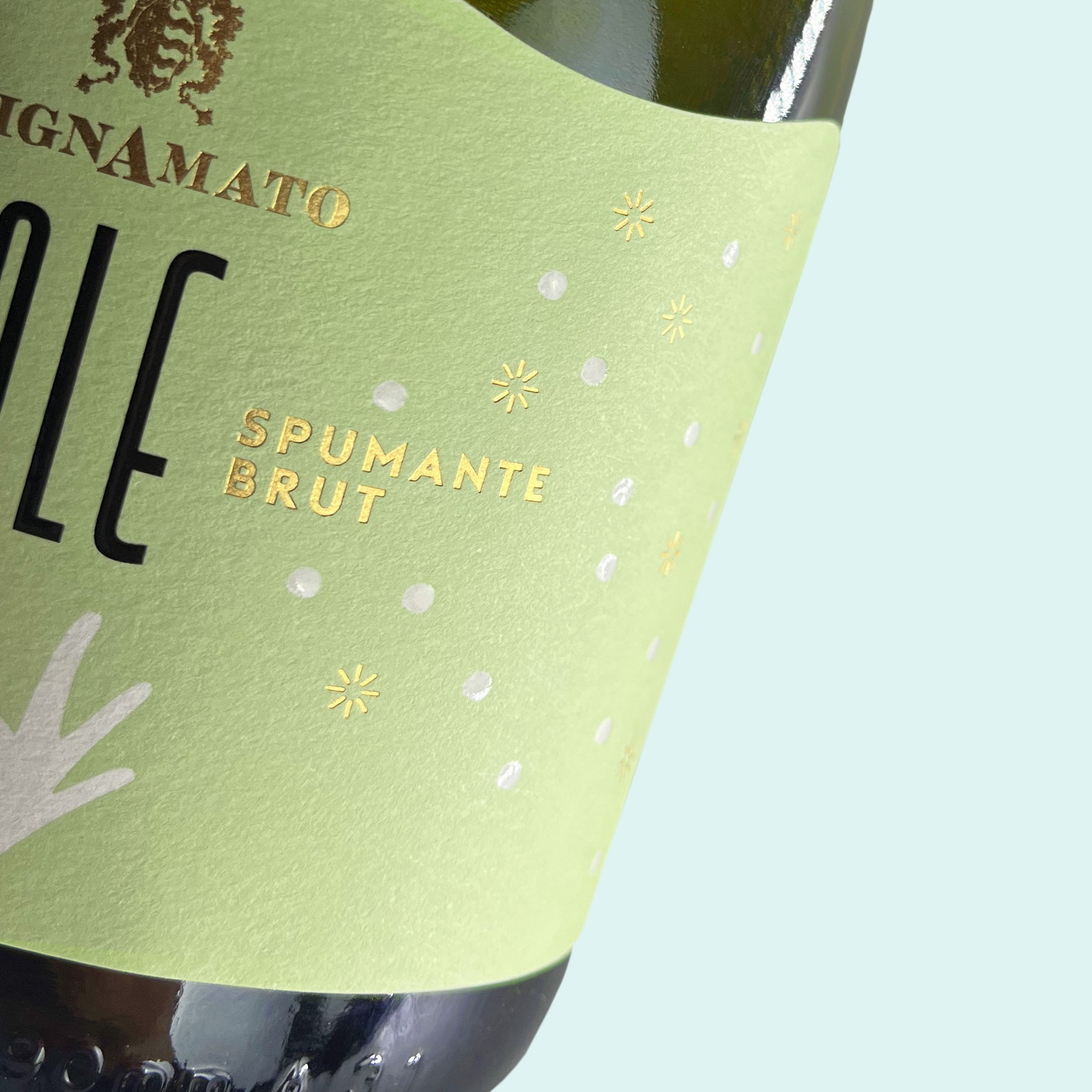 Ale: A Family Sparkling Story