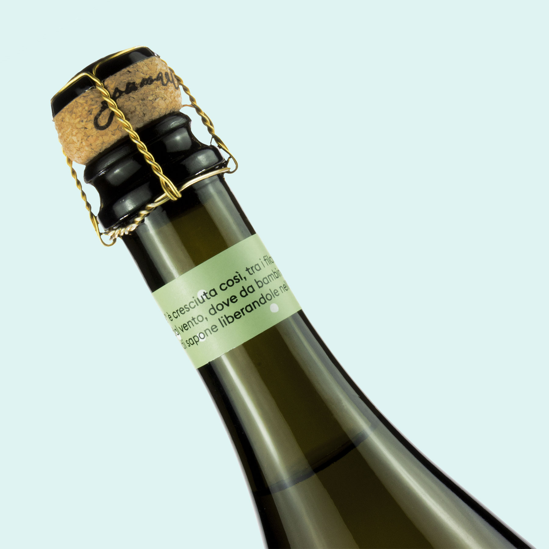 Ale: A Family Sparkling Story