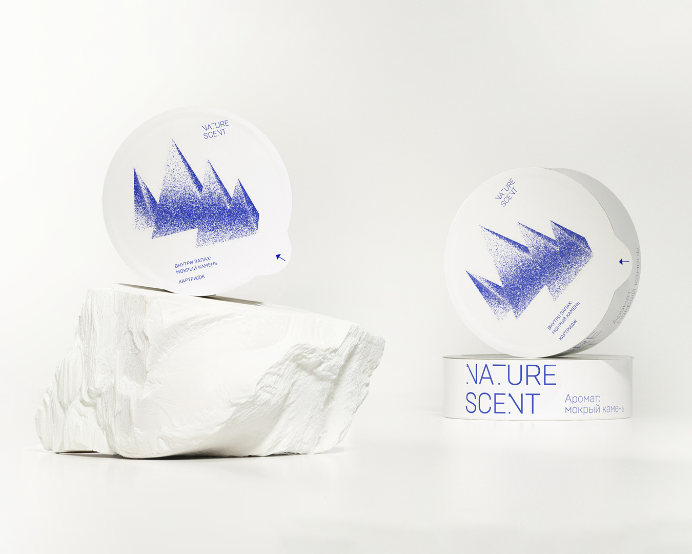 NATURE SCENT/CAR AIR FRESHENER
