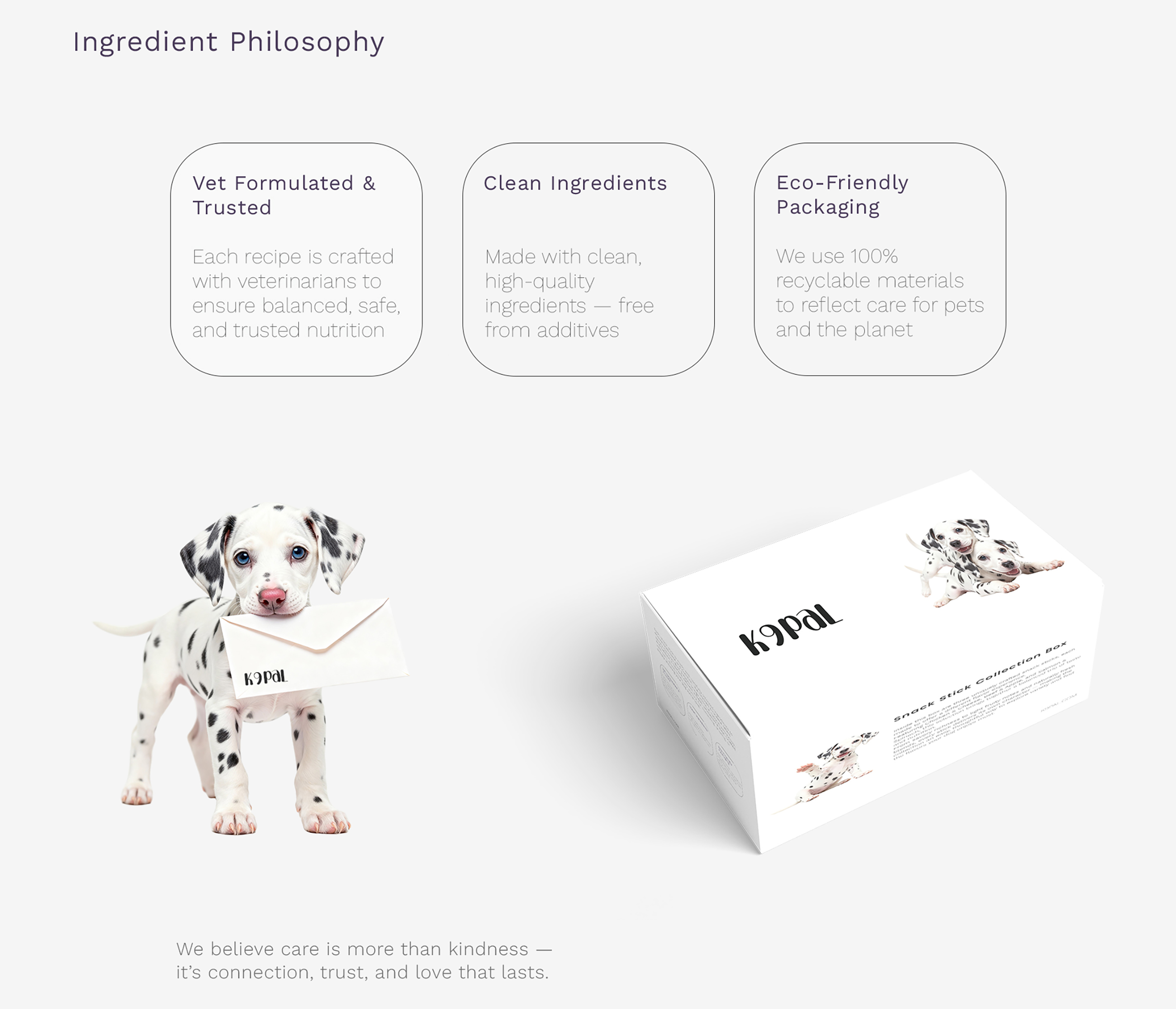 K9pal — Pet Food Branding & Packaging