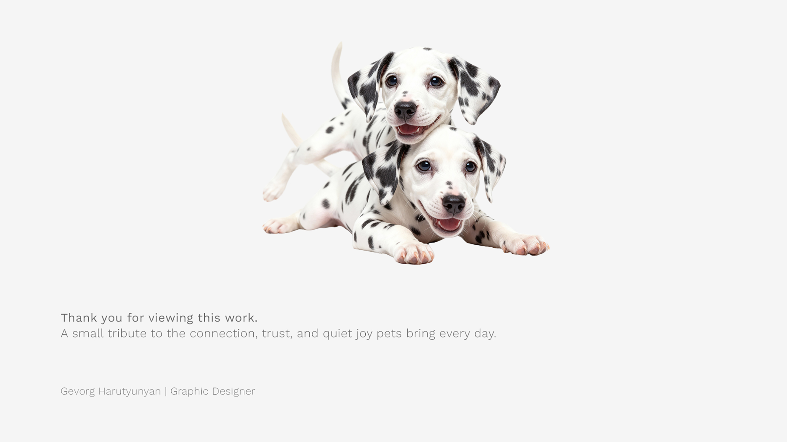 K9pal — Pet Food Branding & Packaging