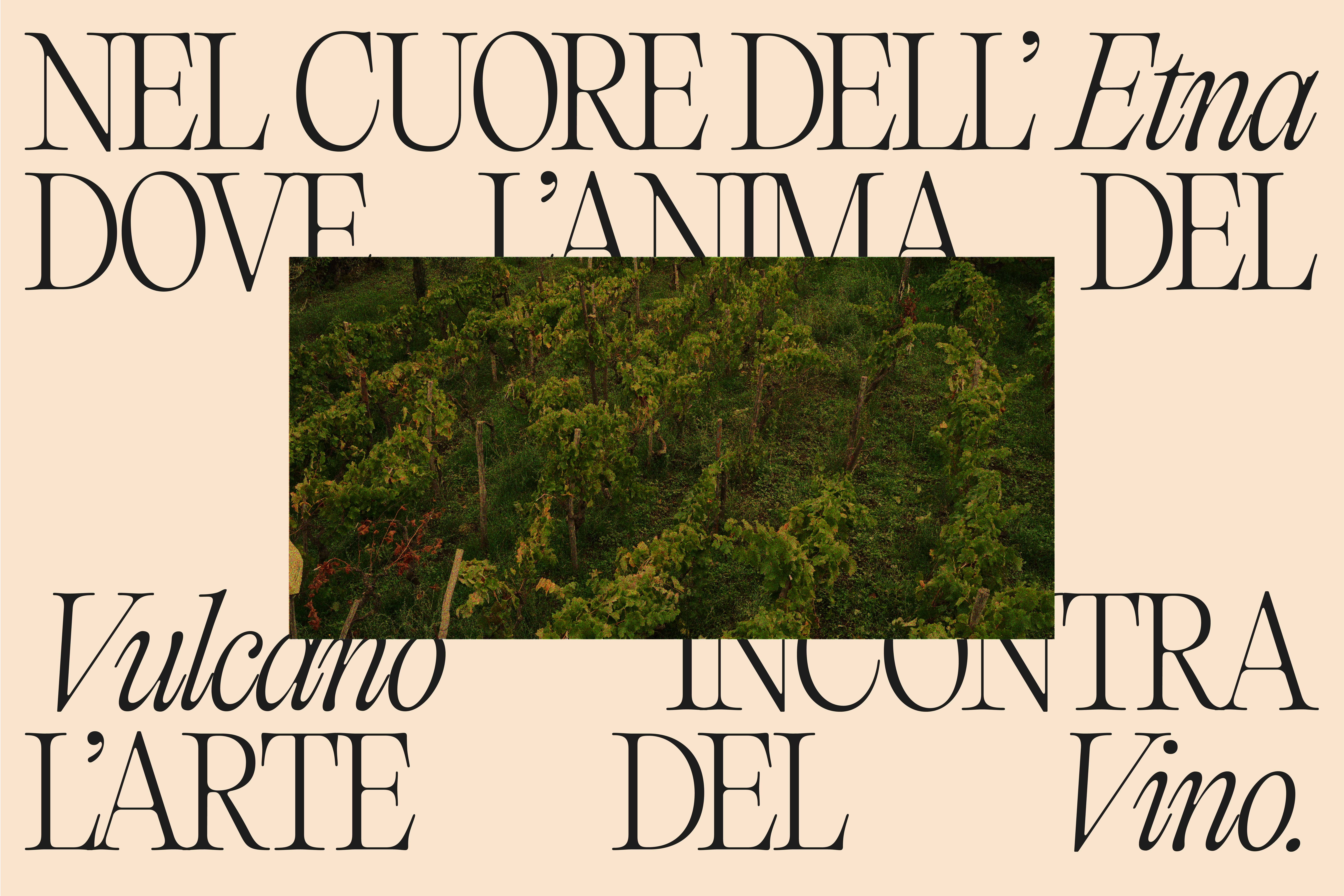 Colledolce Wines