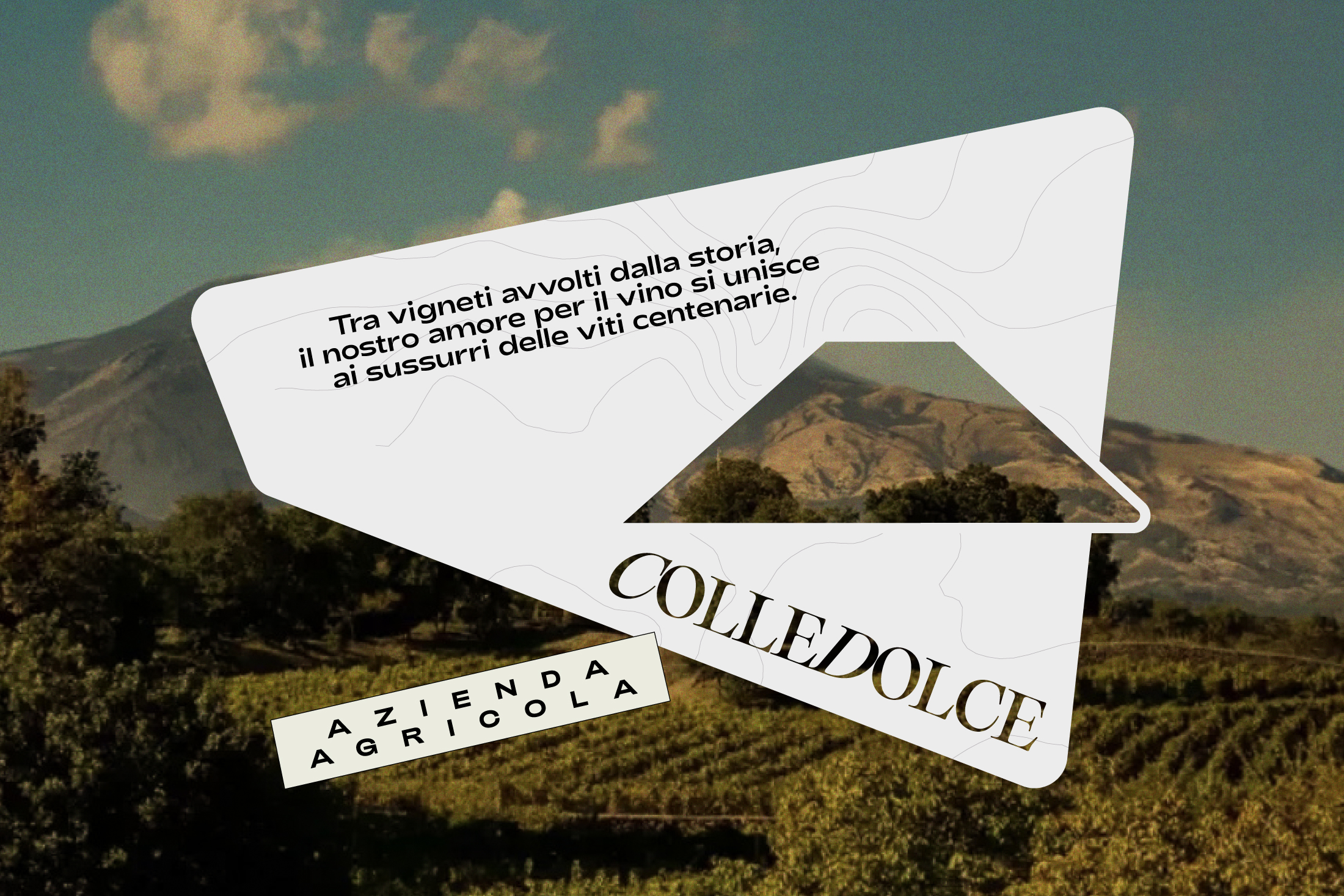 Colledolce Wines