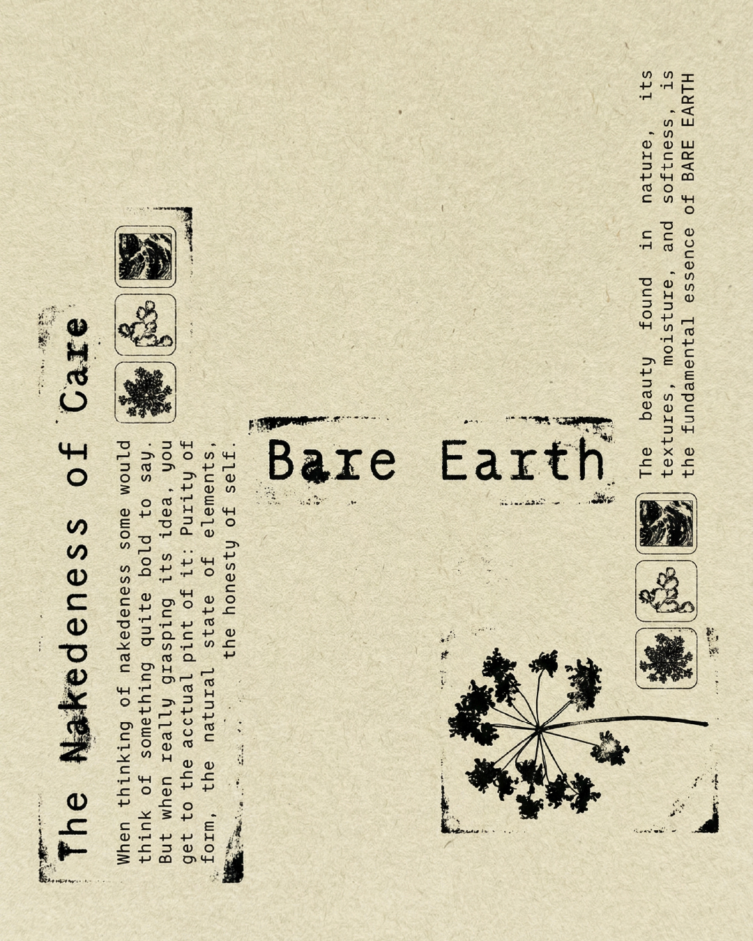 Bare Earth – The Nakedness of Care