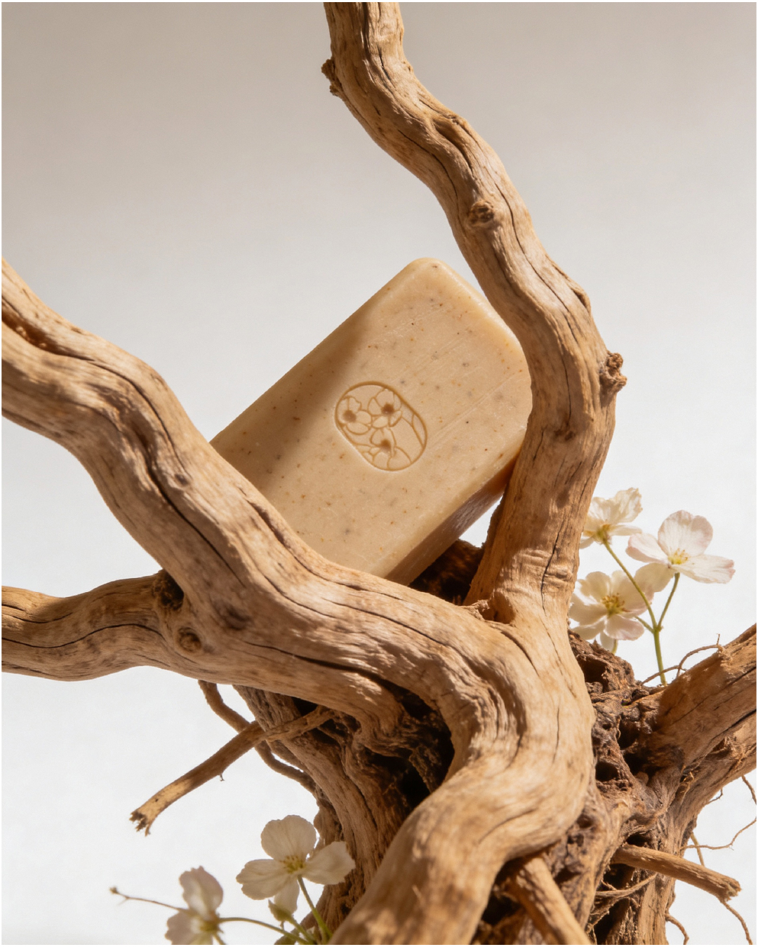 Bare Earth — Branding & Packaging