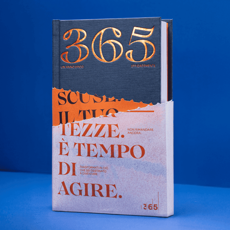 365 – An Epic Year