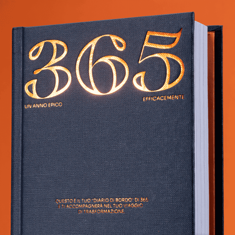 365 – An Epic Year