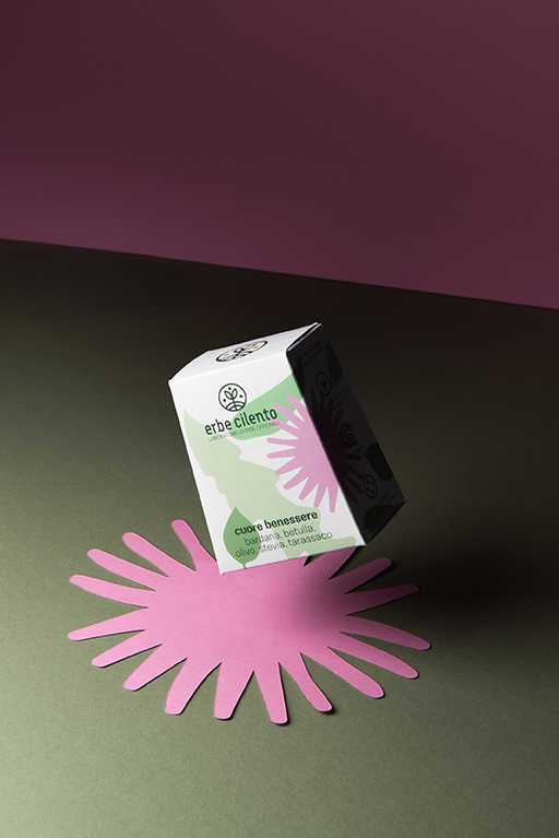 erbe cilento – erbe officinali