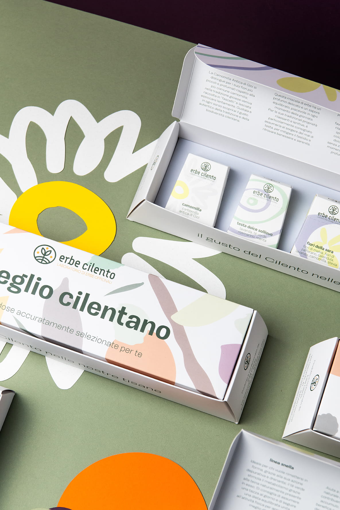 erbe cilento – erbe officinali