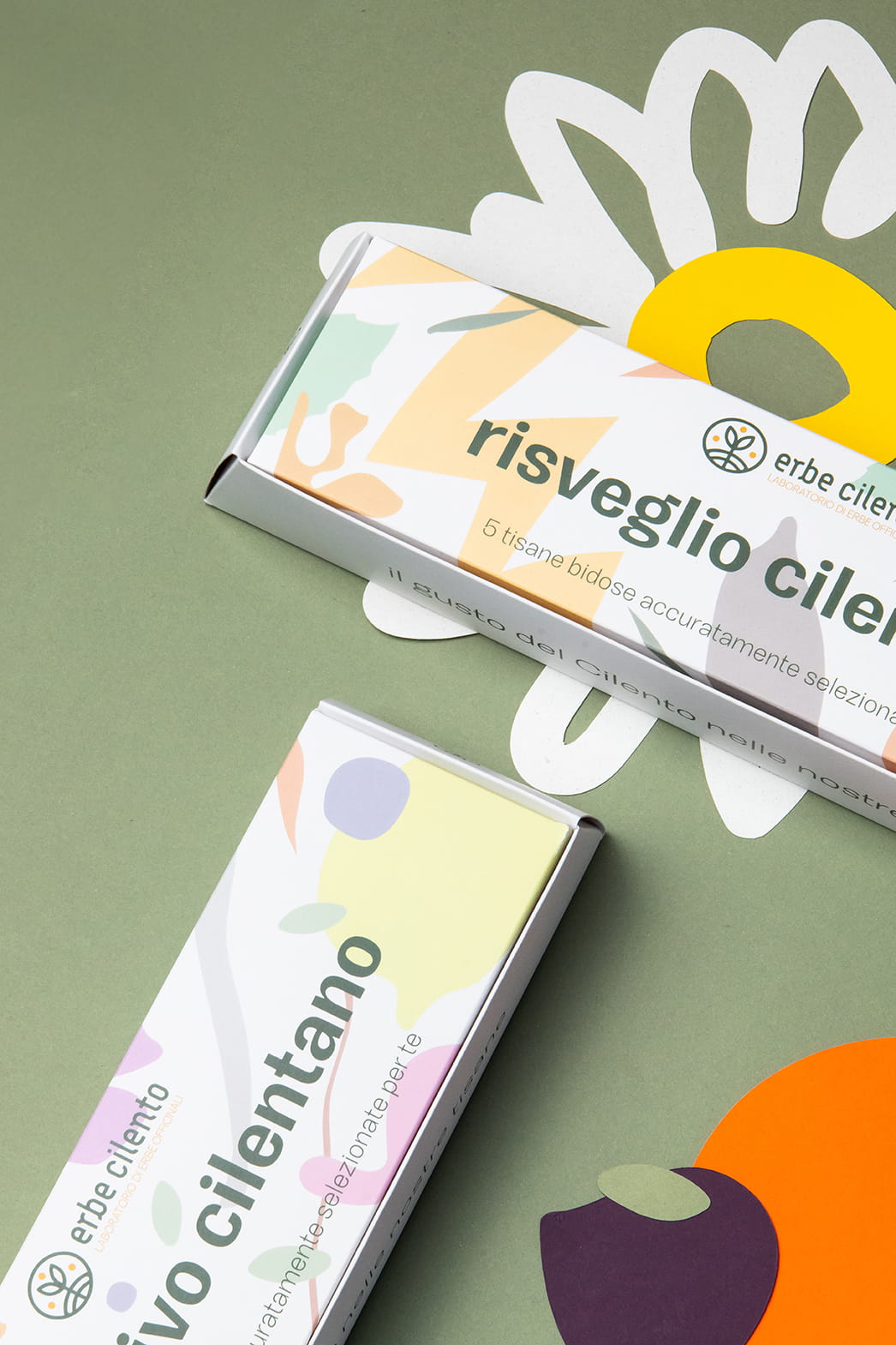 erbe cilento – erbe officinali