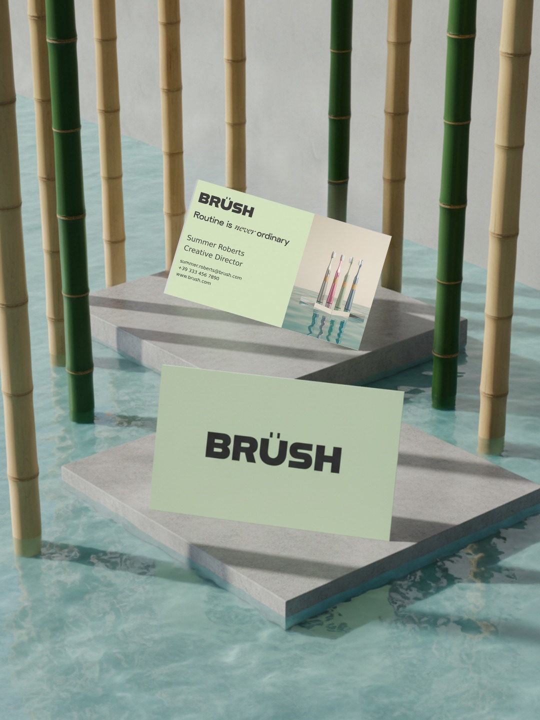 Brush