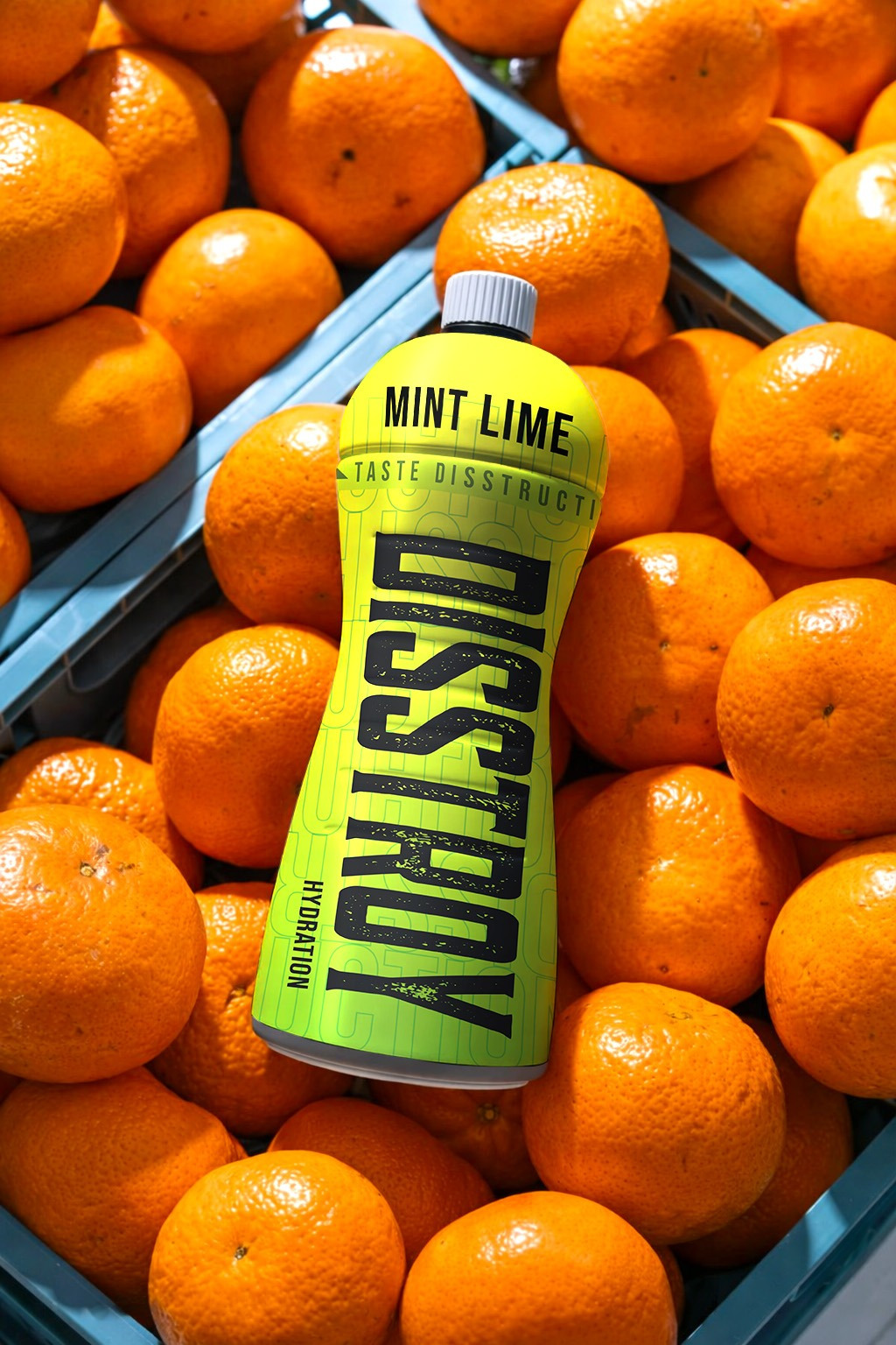 Disstroy – Branding