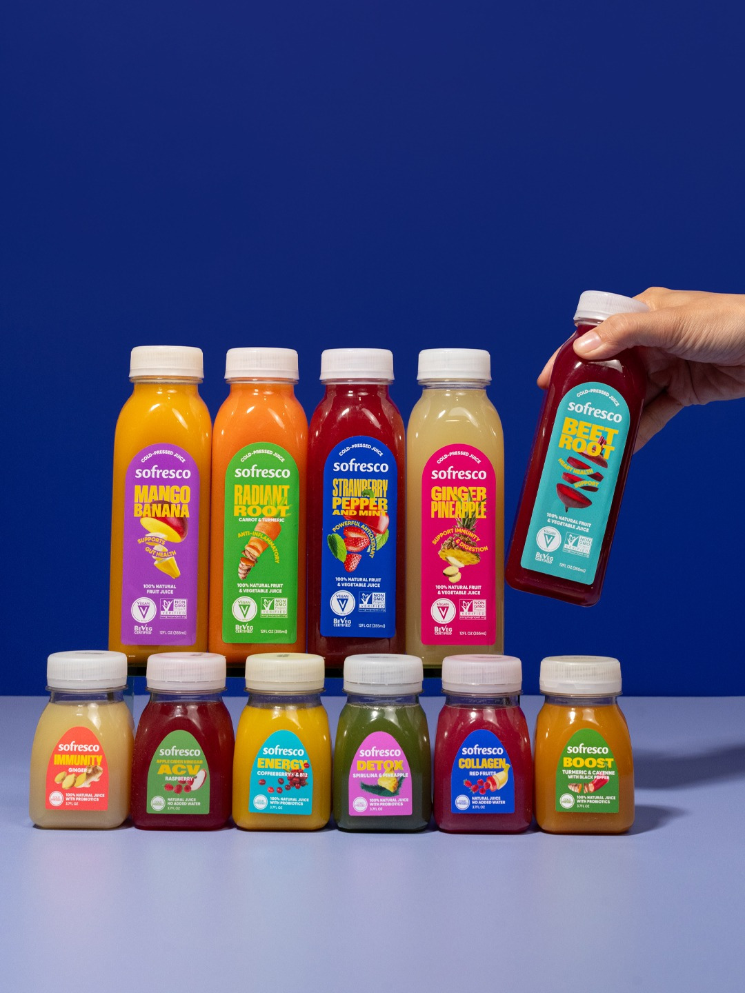 Sofresco