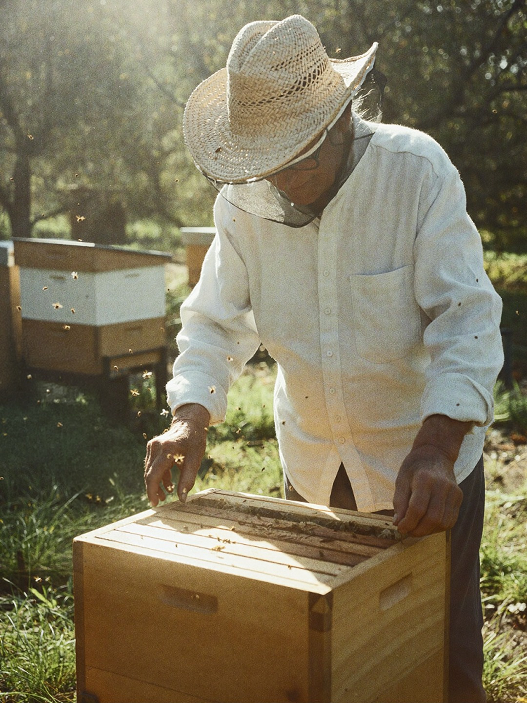 The Beekeeper’s Season Honey Brand Identity & Packaging