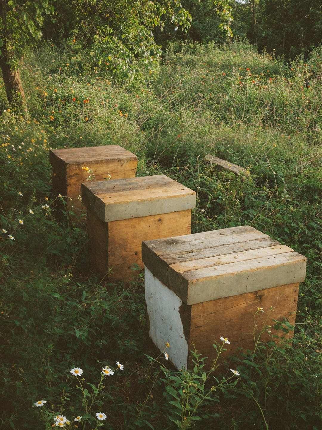 The Beekeeper’s Season Honey Brand Identity & Packaging