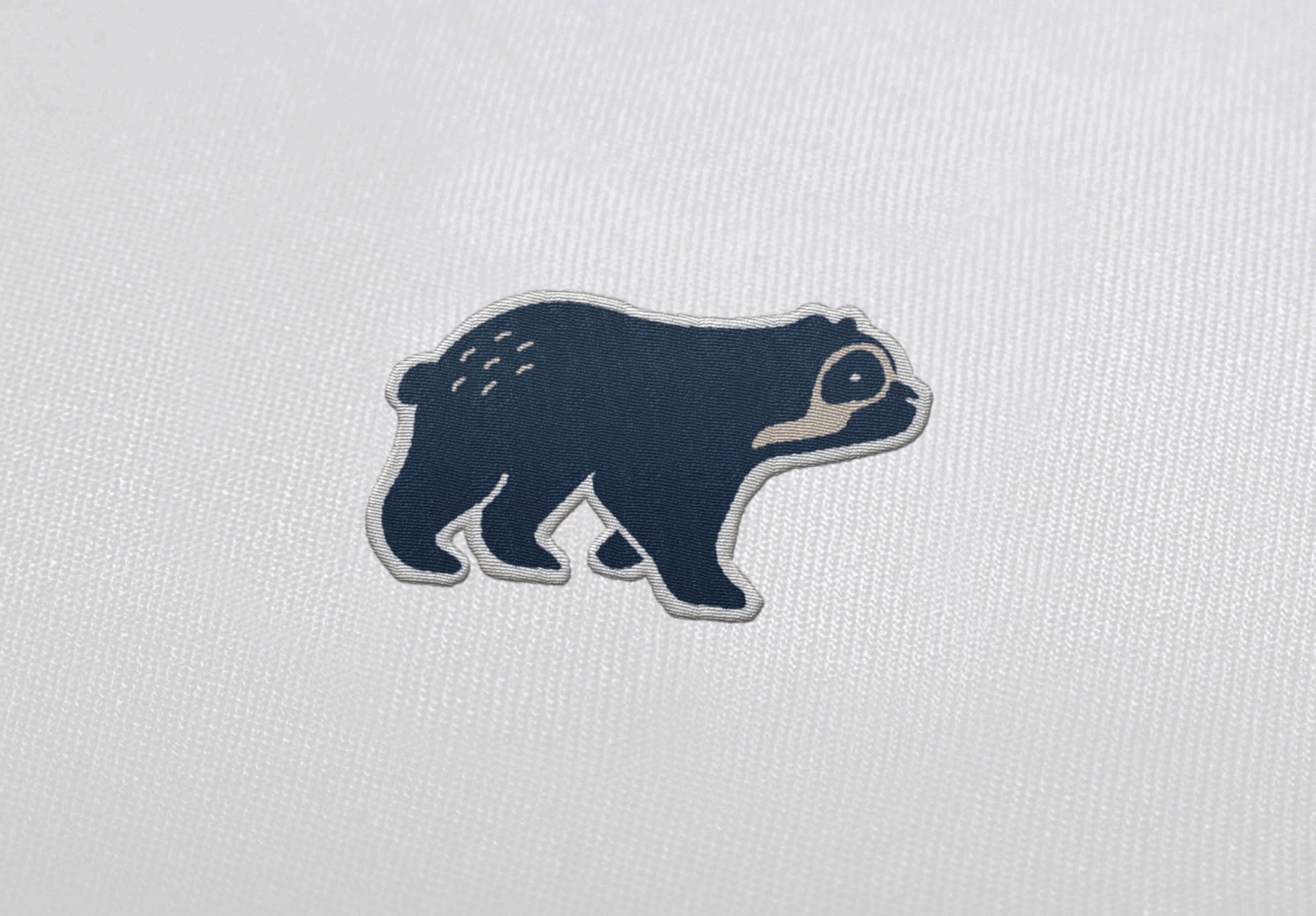 ANDEAN BEAR