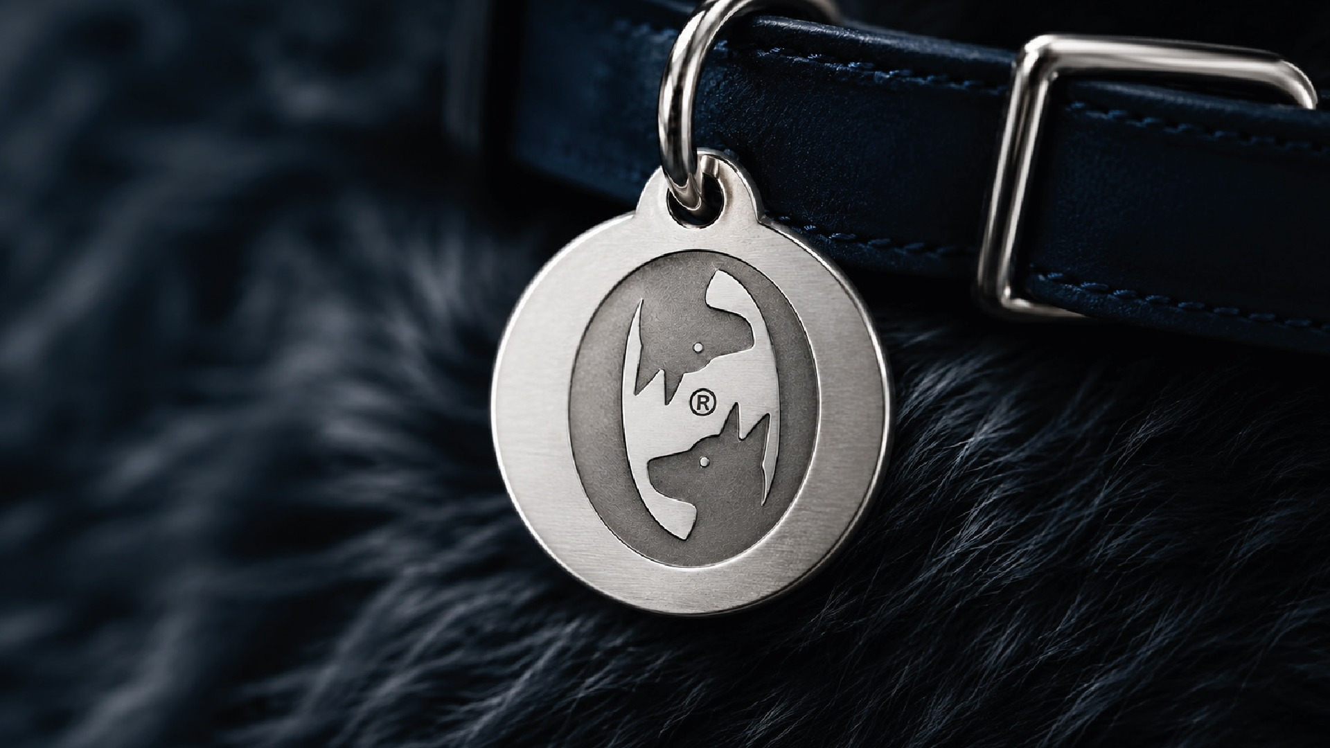Olycan: Turning Canine Nutrition into a Platform for Brand Value