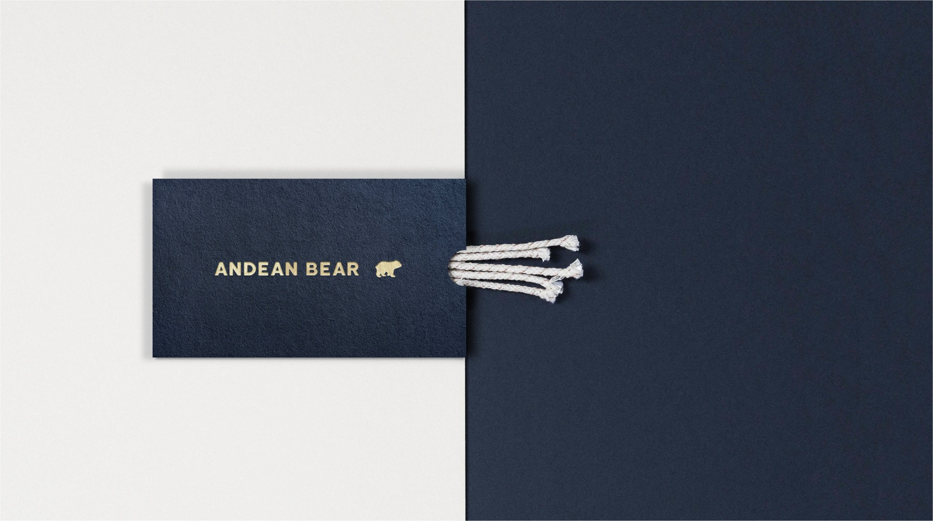 ANDEAN BEAR