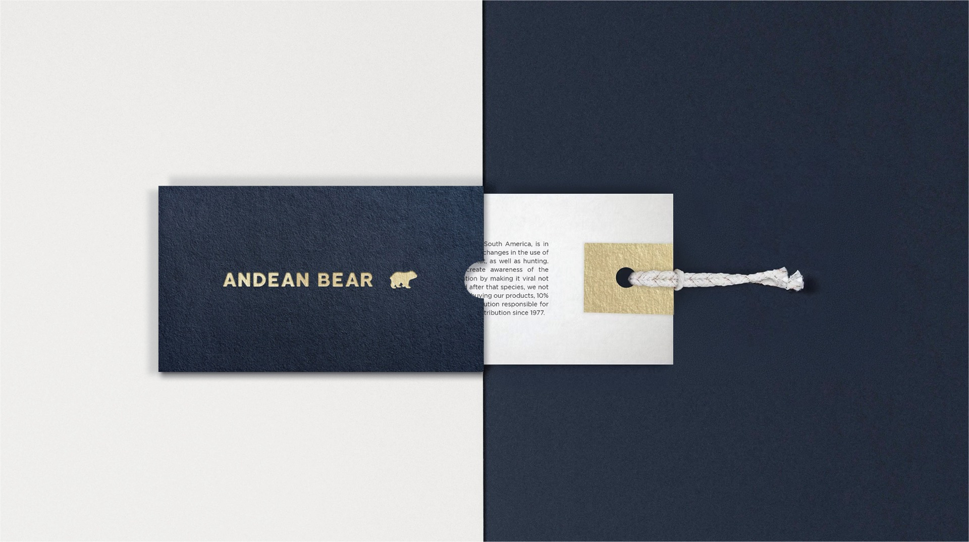 ANDEAN BEAR