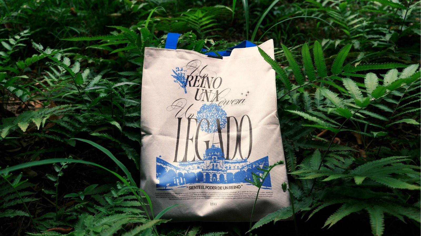 Reino Occidente: The Taste of a Legacy
