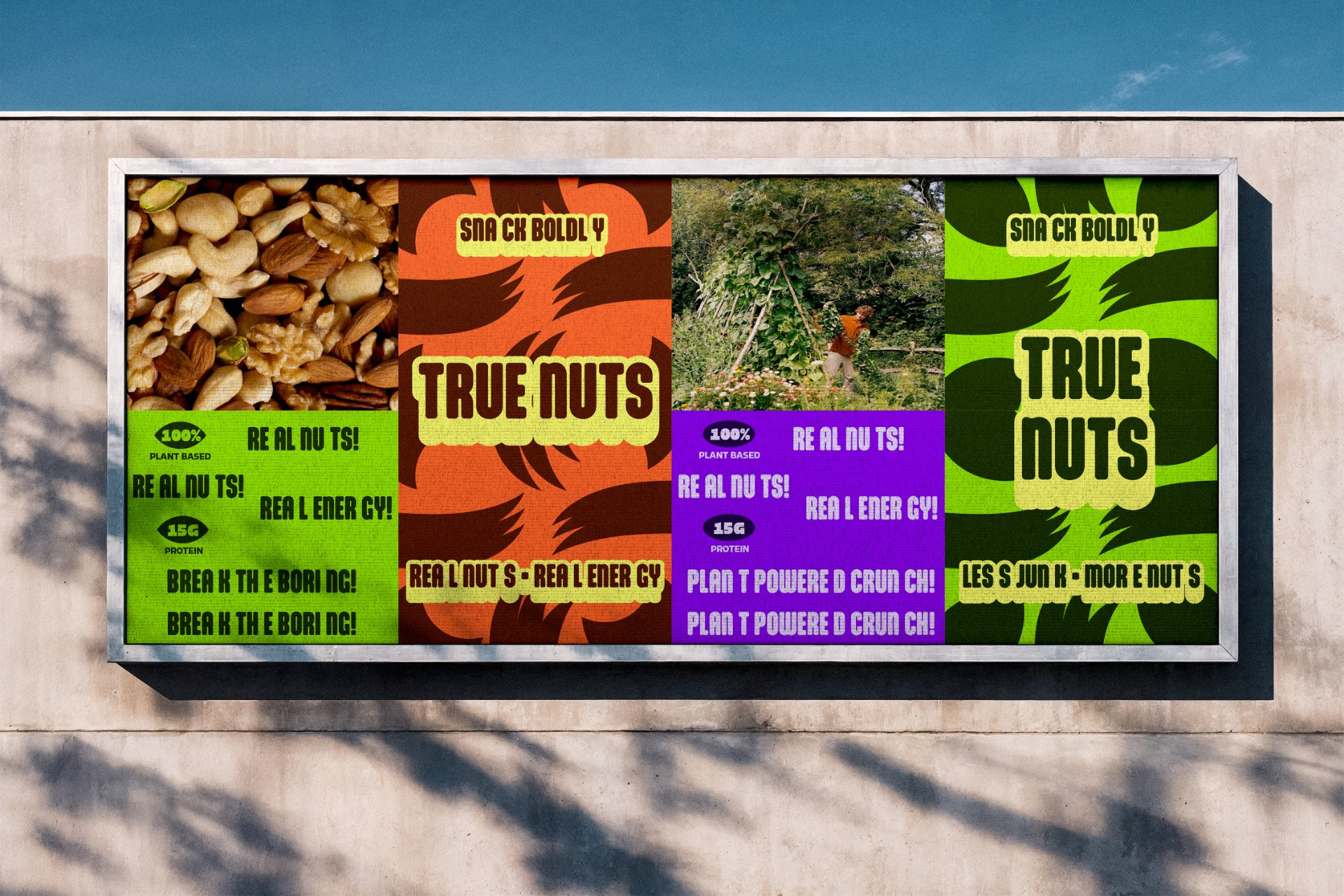 True Nuts — Brand Identity & Packaging Design for an Organic Snack Brand