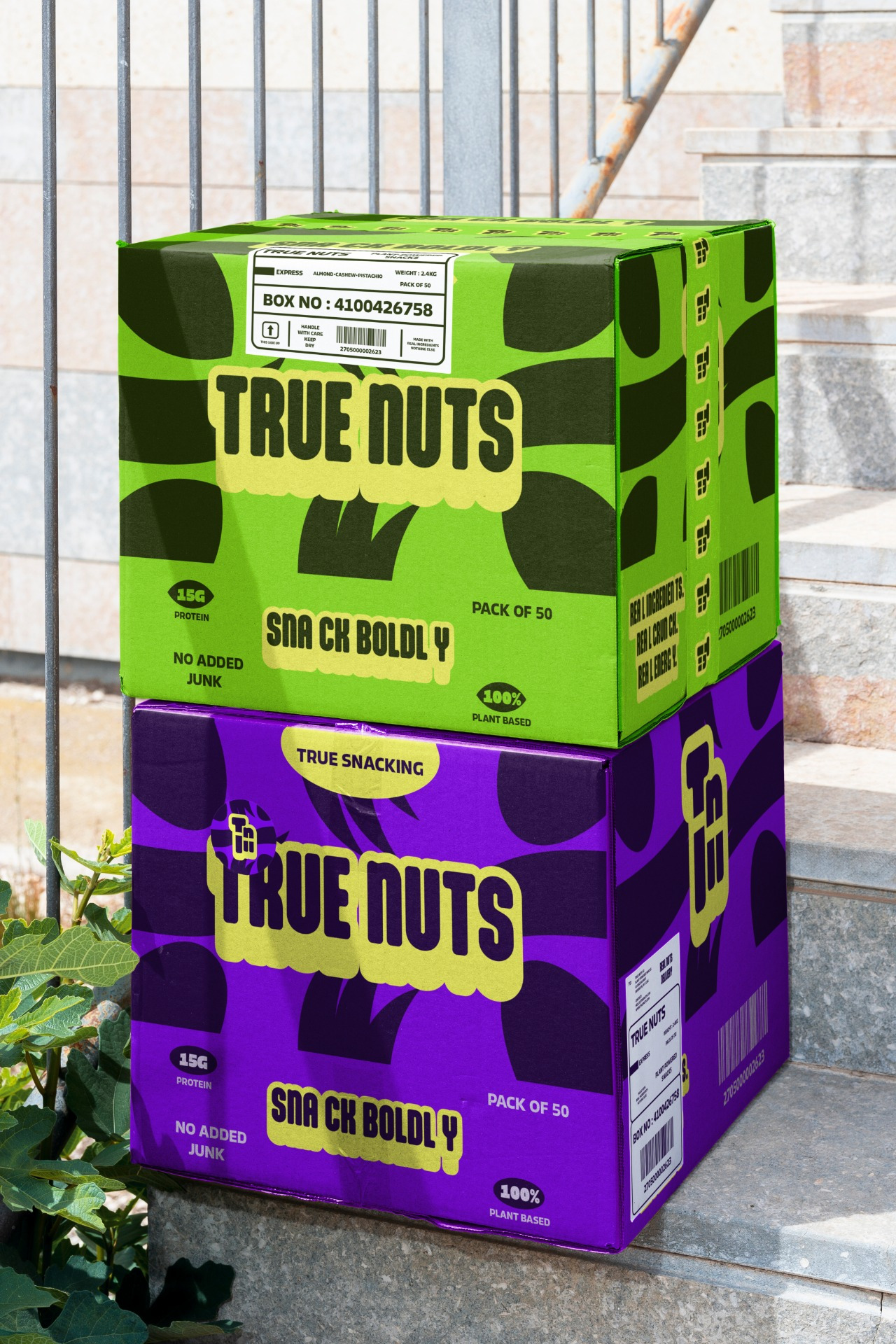 True Nuts — Brand Identity & Packaging Design for an Organic Snack Brand
