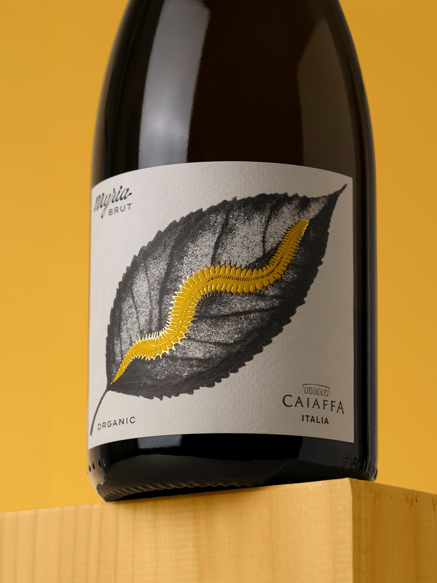 Caiaffa Myria: Where Biodiversity Becomes Identity.