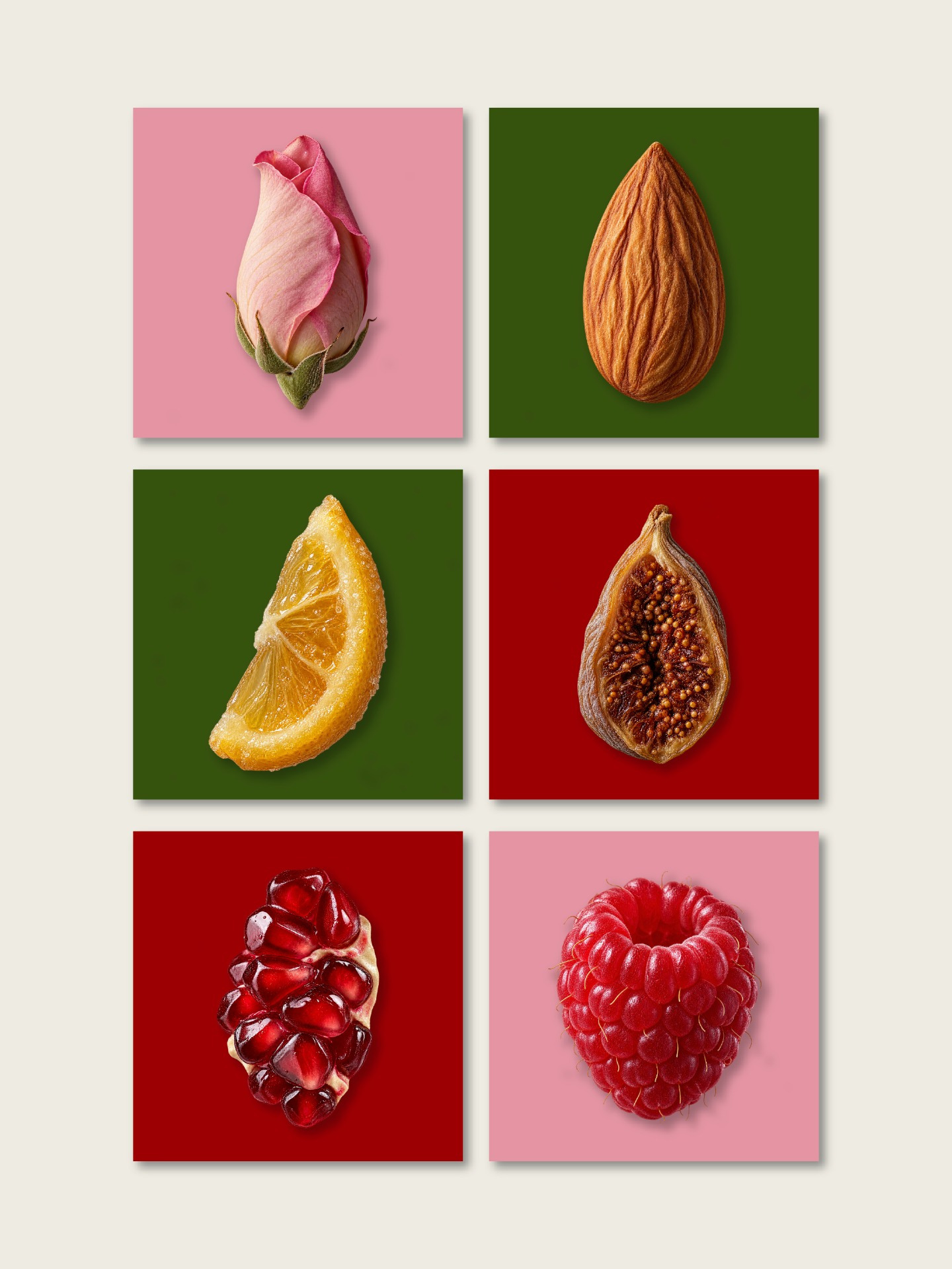 Alba Confections – Artisanal Nougat Packaging