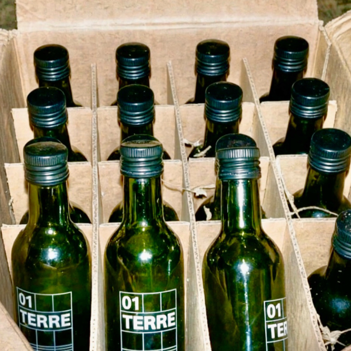 01 TERRE olive oil label