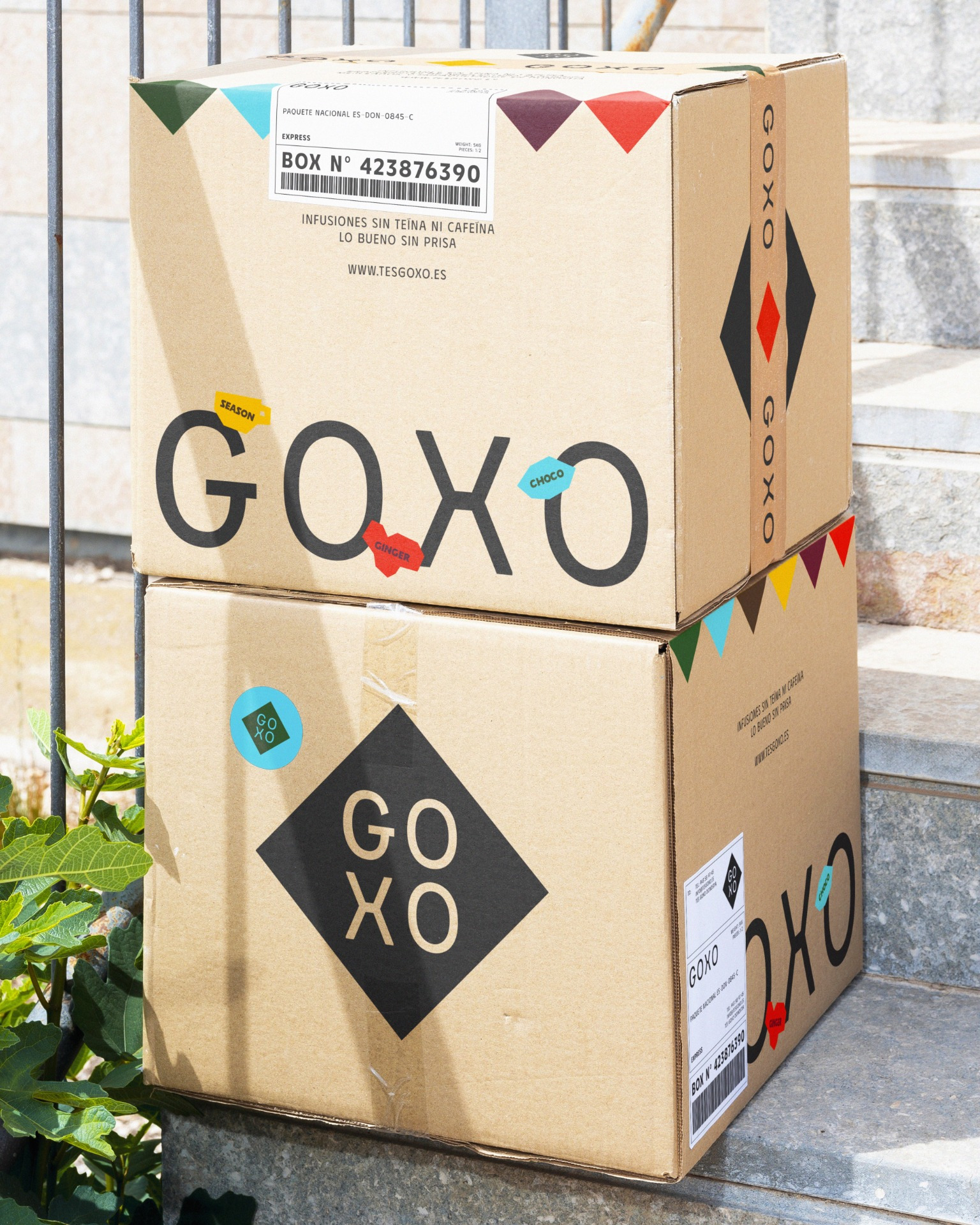 Goxo Teas Packaging
